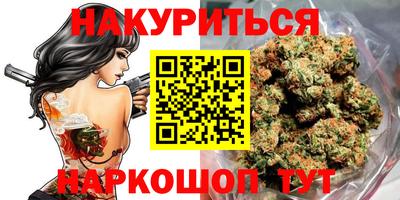 индика Заводоуковск