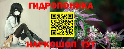 индика Заводоуковск