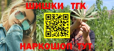 индика Заводоуковск