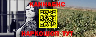 индика Заводоуковск