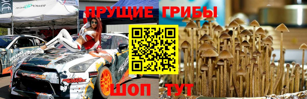 Ленинск-Кузнецкий  Галлюциногенные грибы прущие грибы  Галлюциногенные грибы Magic Shrooms  Вход с VPN 